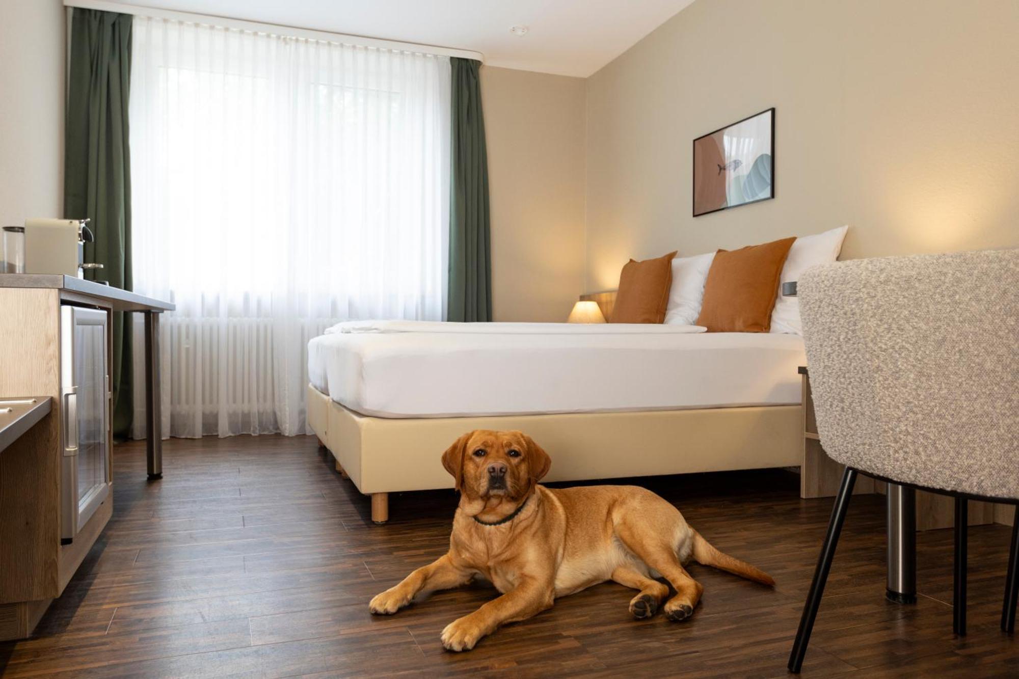 Hotel Fischzucht In Wuerzburg ภายนอก รูปภาพ
